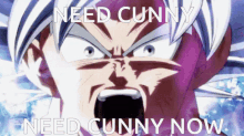 Cunny Need Cunny Now GIF - Cunny Need Cunny Now Anime GIFs