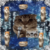 a cat with a microphone and a boombox