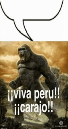 Viva Peru Carajo GIF - Viva Peru Carajo GIFs