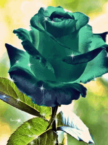Green Rose Sparkling GIF - Green Rose Sparkling Leaves GIFs