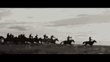 Charge Horses GIF - Charge Horses War GIFs