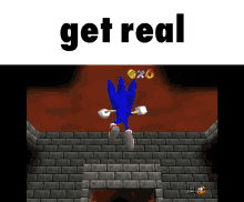 Get Real Sonic The Hedgehog GIF