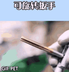 Gif Pet Screw GIF - Gif Pet Screw Repair GIFs