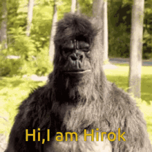 Gorilla Hirok GIF - Gorilla Hirok Hirok Gorilla GIFs