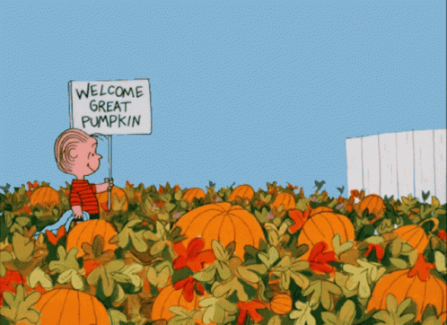 pumpkins-halloween.gif
