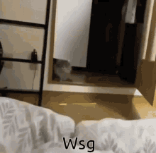 Wsg Cat GIF - Wsg Cat Kitten GIFs