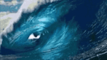 a whale 's eye is visible in the water