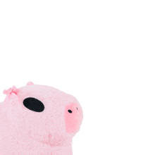 a pink stuffed pig is surrounded by the word yap