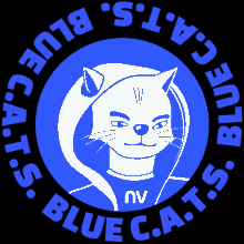 Bluecats Nventive GIF - Bluecats Nventive Nv GIFs