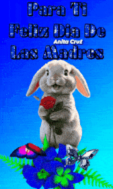 a picture of a rabbit holding a rose with the words para ti feliz dia do las madres