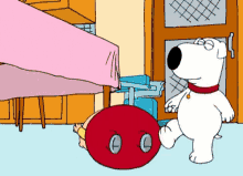 Stewie GIF - Family Guy Stewie GIFs