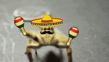 GIF