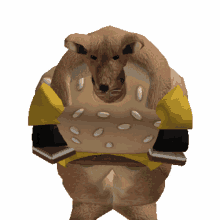 gustavo kangaroo