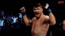 Victory Michael Bisping GIF