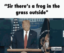 donald trump is giving a speech at a podium with a frog in his mouth .