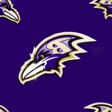 a ravens logo on a purple background with the letters b on it