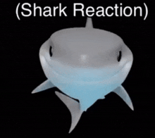Shark Reaction GIF - Shark Reaction GIFs