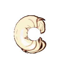 spinning donut