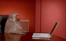 Computer Issues GIF - Computer Issues GIFs