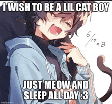a picture of a cat boy with the caption " i wish to be a lil cat boy just meow and sleep all day 3 "