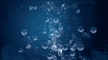 a pink jellyfish is floating in the water with bubbles