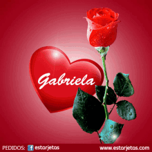 Gabriela Heart GIF - Gabriela Heart Rose GIFs