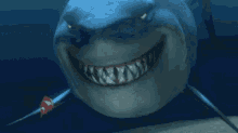 Shark Smile GIF