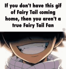 Fairytail Comes GIF - Fairytail Comes Home GIFs