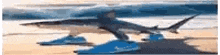 a shark is riding a wave on a surfboard on a beach .