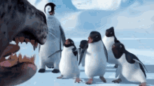 Happy Feet GIF - Happy Feet Penguin GIFs