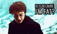Harry Potter Funny GIFs | Tenor