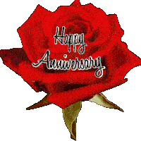 Happy Anniversary Rose Sticker - Happy Anniversary Rose Heart Rose Stickers