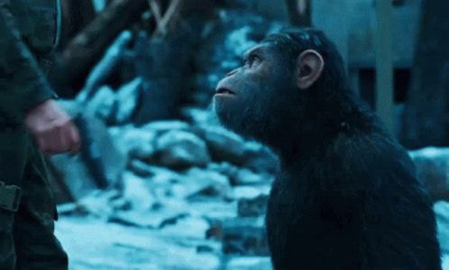caesar dawn of the planet of the apes gif