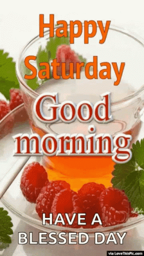 Happy Saturday Good Morning GIF - Happy Saturday Good Morning Good Day GIFs