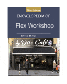 Flex Workshop Dilz GIF - Flex Workshop Dilz GIFs