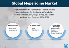 Global Meperidine Market GIF - Global Meperidine Market GIFs