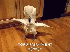 tifu gif