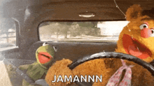 Muppets Themuppets GIF - Muppets Themuppets Singingdriving GIFs