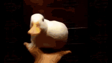 Initial Duck Modified This Duck GIF