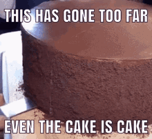 Cake This Has Gone Too Far GIF - Cake This Has Gone Too Far Even The Cake Is Cake GIFs
