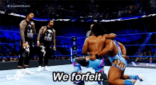 Wwe The Usos GIF - Wwe The Usos We Forfeit GIFs