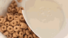 cereal cheerios breakfast cereal day happy cereal day