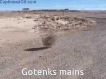 a picture of a desert with captionedgif.com