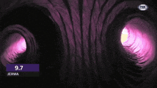 a purple tunnel with a fox logo on the bottom right