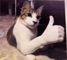 a cat is giving a thumbs up sign while sitting on the floor .