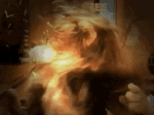 Between The Lions Theo Lion GIF - Between The Lions Theo Lion Mane Flip GIFs