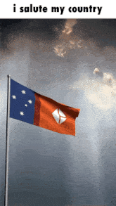 a flag with the words i salute my country written above it