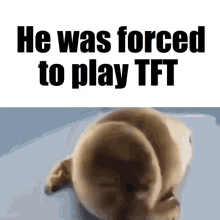 Tft Team Fight Tactics GIF - Tft Team Fight Tactics He Was Forced To GIFs