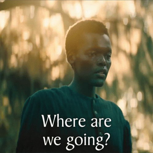 Where Are We Going Mabel GIF - Where Are We Going Mabel The Underground  Railroad - Discover & Share GIFs