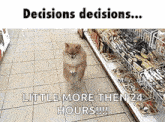 Decisions Dog GIF - Decisions Dog Walking GIFs